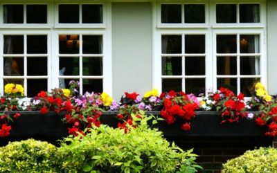 8 Tips for Adding Curb Appeal and Value to Your Home