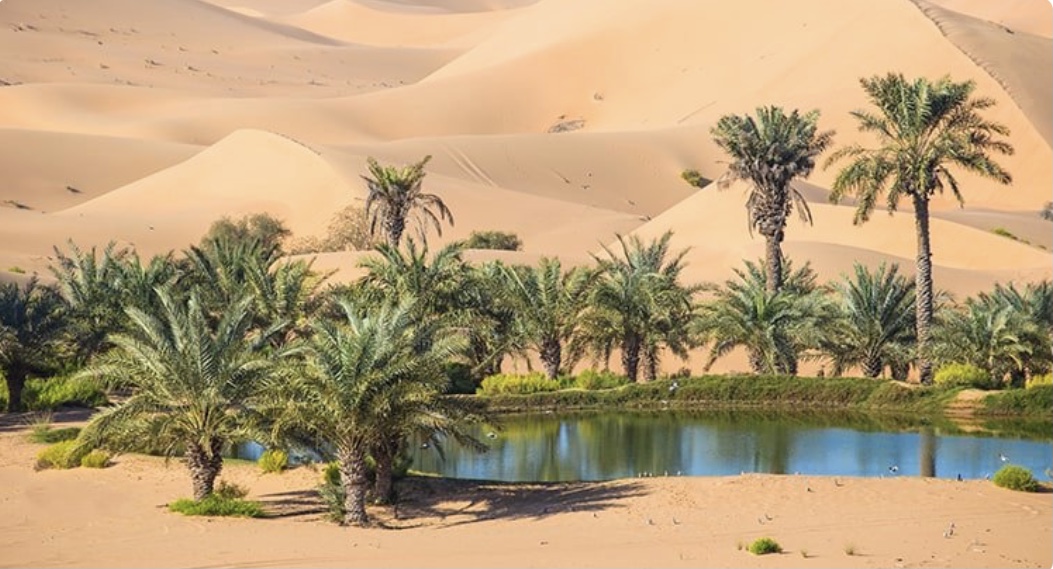 Your House Could Be The Oasis In An Inventory Desert The Property